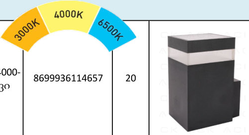 ACK დეკორატიული კედლის LED სანათი 9 W, 3000-4000-6500K, IP65, 800 ლუმენი, შავი, 156x79x99 მმ